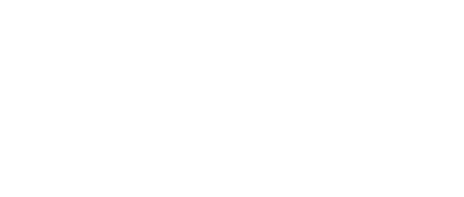The Wokingham Handyman